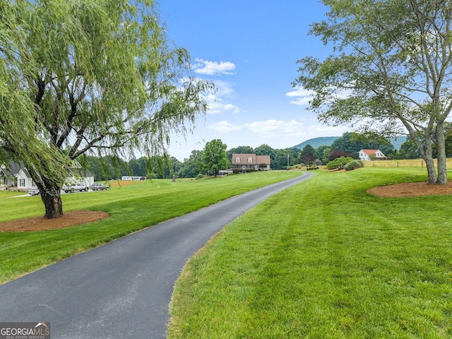 8958 Bill Savage Rd, Lula, GA 30554 - view of asphalt driveway with a mountain view