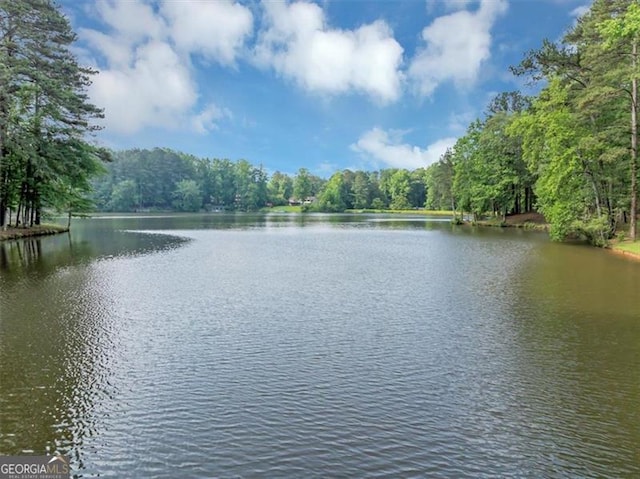 1625 Clark Lake Dr NW, Acworth, GA 30102 - water view with a forest