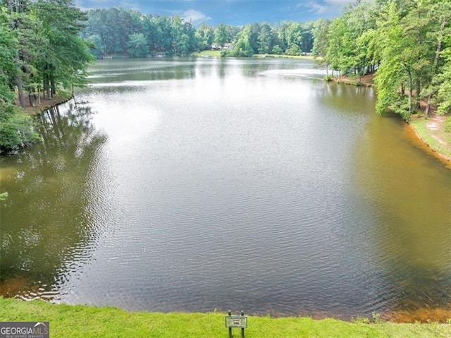 1625 Clark Lake Dr NW, Acworth, GA 30102 - water view