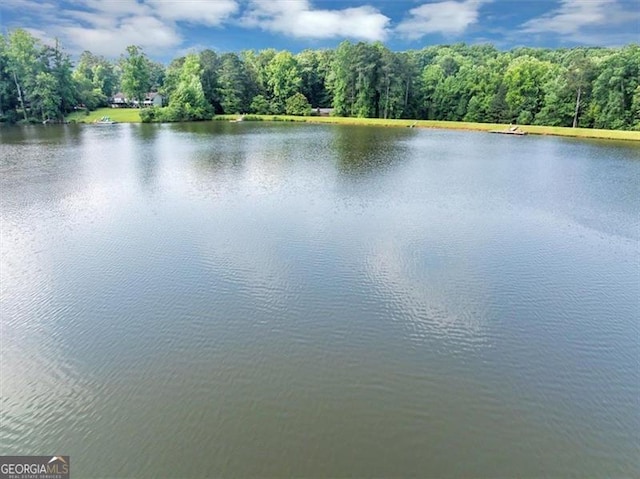 1625 Clark Lake Dr NW, Acworth, GA 30102 - water view featuring a heavily wooded area