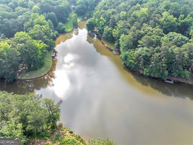 1625 Clark Lake Dr NW, Acworth, GA 30102 - drone / aerial view of a nearby body of water