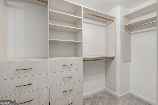 3473 Shoal Oak Ct, Riverdale, GA 30296 - spacious closet featuring carpet flooring