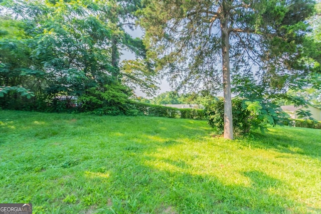 4331 Wrexham Ct, Snellville, GA 30039 - view of grassy yard