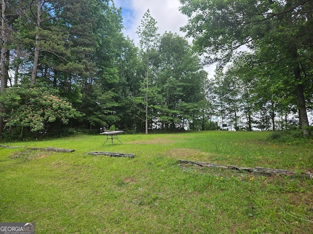 1453 Rose Ln, Toccoa, GA 30577 - view of grassy yard