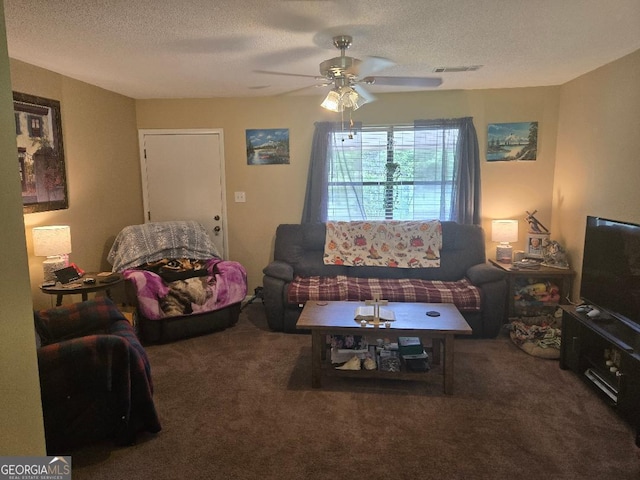 1453 Rose Ln, Toccoa, GA 30577 - living room featuring carpet, ceiling fan, and a textured ceiling