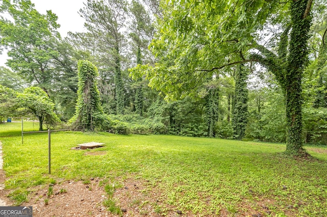 3080 Lynhurst Cir SW, Atlanta, GA 30311 - view of grassy yard