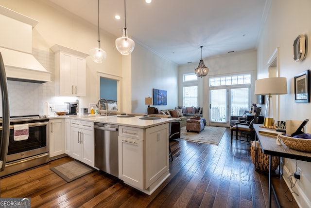 1 E 3rd Ave Unit 308, Rome, GA 30161 - kitchen featuring appliances with stainless steel finishes, open floor plan, a peninsula, dark wood-type flooring, and white cabinetry