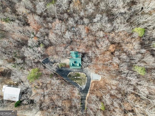 281 Wildwood Ct, Dawsonville, GA 30534 - bird's eye view