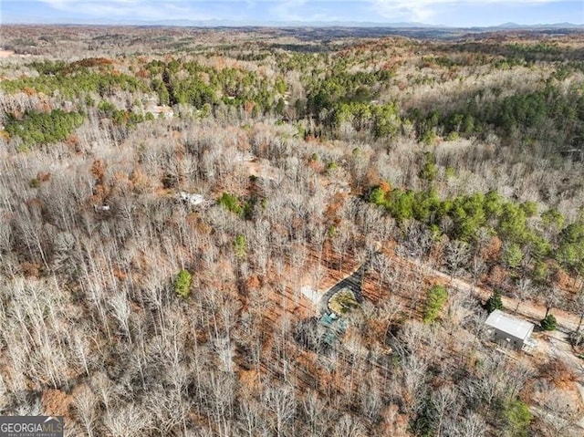 281 Wildwood Ct, Dawsonville, GA 30534 - view of property location featuring a heavily wooded area