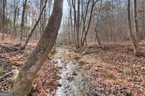 281 Wildwood Ct, Dawsonville, GA 30534 - view of local wilderness