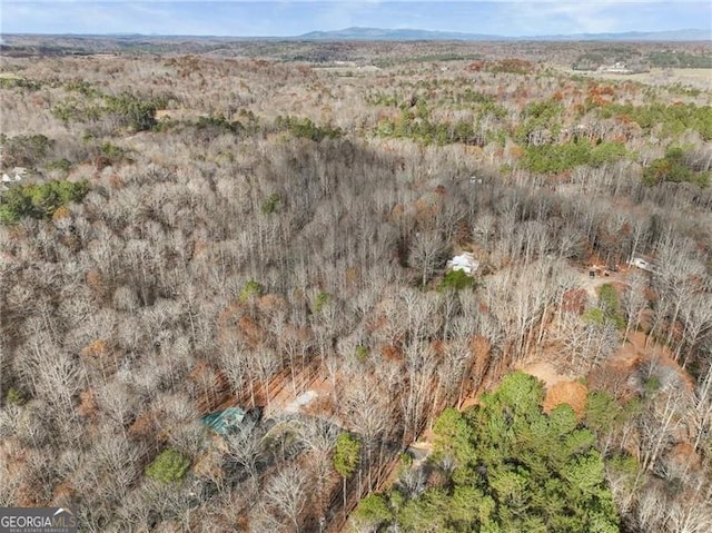 281 Wildwood Ct, Dawsonville, GA 30534 - aerial view of property's location