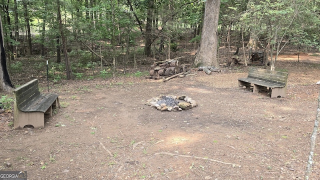 396 Greenleaf Dr, Lavonia, GA 30553 - view of yard
