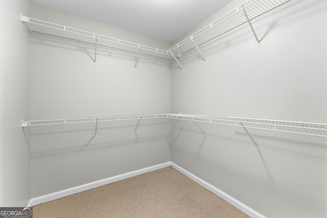 155 Carrolls Way, Fayetteville, GA 30215 - spacious closet with carpet