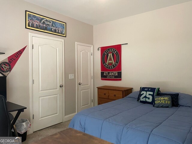 107 Sedgefield Overlook, Dallas, GA 30157 - view of carpeted bedroom