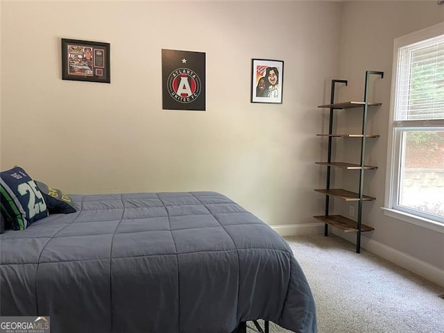 107 Sedgefield Overlook, Dallas, GA 30157 - carpeted bedroom with multiple windows