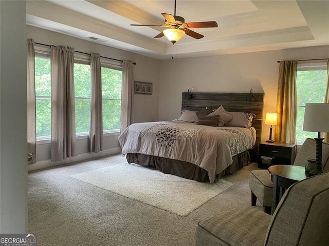 107 Sedgefield Overlook, Dallas, GA 30157 - carpeted bedroom featuring a tray ceiling and ceiling fan