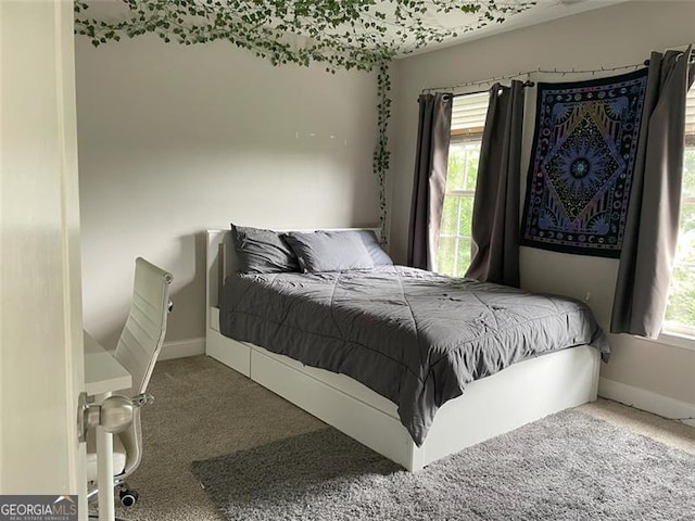 107 Sedgefield Overlook, Dallas, GA 30157 - carpeted bedroom with baseboards