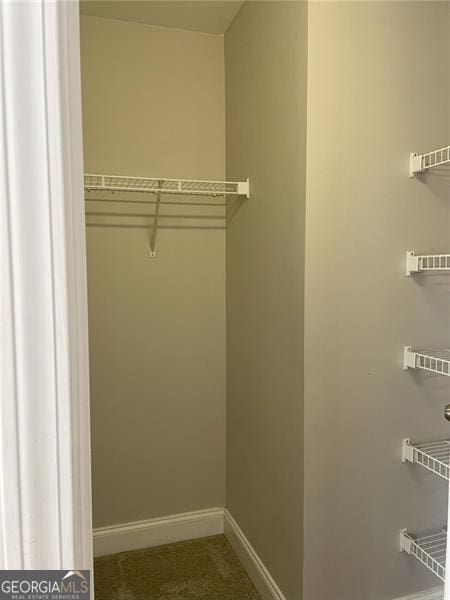 107 Sedgefield Overlook, Dallas, GA 30157 - view of spacious closet