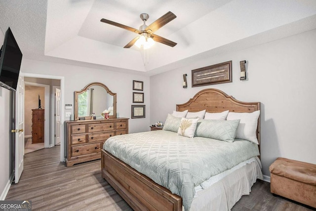 169 Winding Valley Dr, Rockmart, GA 30153 - bedroom with a raised ceiling, wood finished floors, and a ceiling fan