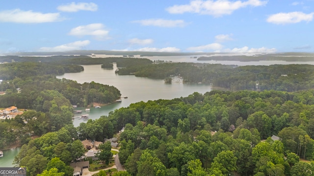 2722 Brookhaven Ln, Buford, GA 30518 - aerial view of a large body of water and a heavily wooded area