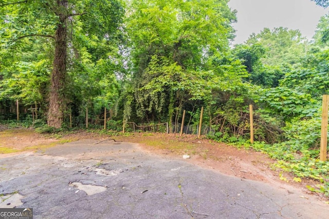 2582 Springdale Rd SW, Atlanta, GA 30315 - view of street