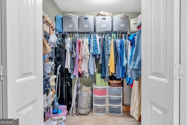 1637 Willow Way, Woodstock, GA 30188 - spacious closet with carpet