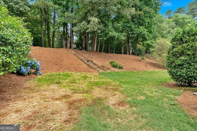 1637 Willow Way, Woodstock, GA 30188 - view of yard