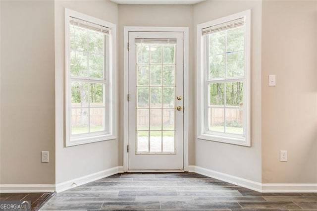 7006 Mahonia Pl, Lithonia, GA 30038 - doorway to outside with dark wood-style floors, plenty of natural light, and baseboards