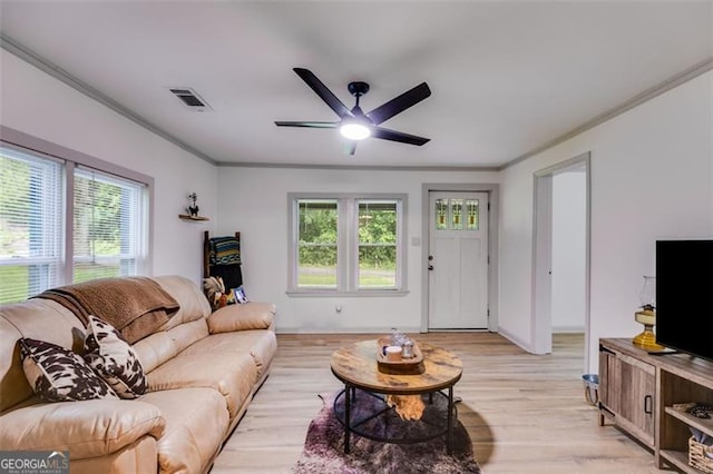 394 Knight Rd, Rockmart, GA 30153 - living room featuring plenty of natural light, ornamental molding, ceiling fan, light wood-type flooring, and baseboards