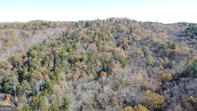 0 Benfield Ln, Clarkesville, GA 30523