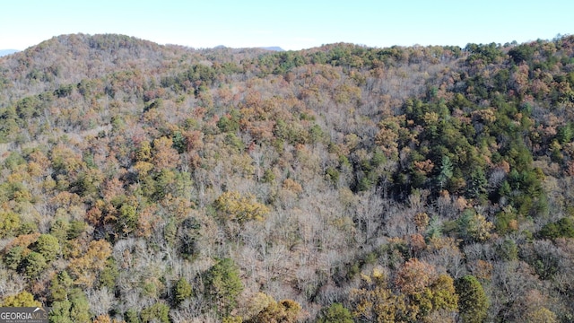 0 Benfield Ln, Clarkesville, GA 30523