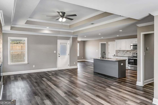 204 Eric Cv, Byron, GA 31008 - kitchen with appliances with stainless steel finishes, a tray ceiling, a sink, ceiling fan, and crown molding