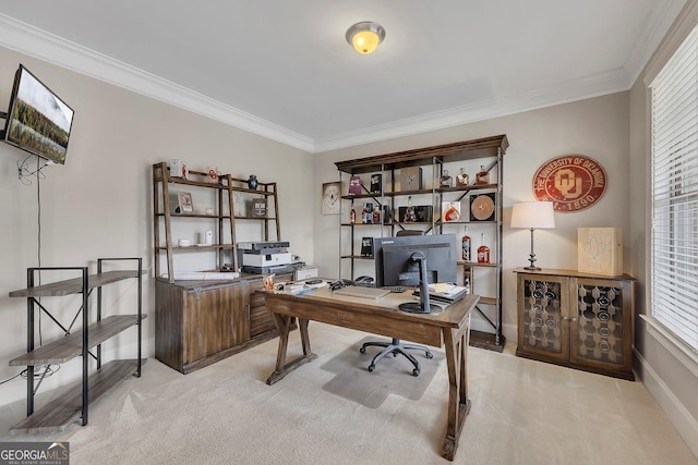 406 Fernstone Dr, Canton, GA 30114 - carpeted home office with crown molding, healthy amount of natural light, and baseboards