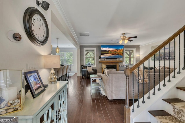 406 Fernstone Dr, Canton, GA 30114 - living area with dark wood-type flooring, a ceiling fan, a fireplace, stairs, and ornamental molding