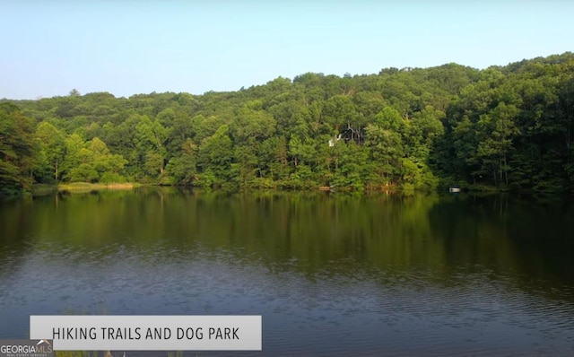 87 Owltown Dr Unit L40, Ellijay, GA 30536 - water view featuring a heavily wooded area