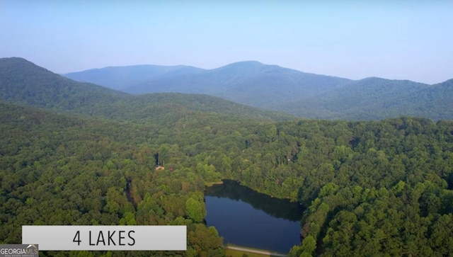 87 Owltown Dr Unit L40, Ellijay, GA 30536 - mountain view featuring a forest and a nearby body of water