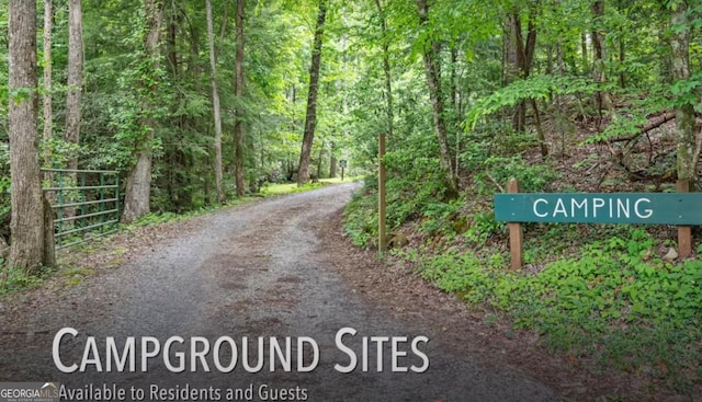 87 Owltown Dr Unit L40, Ellijay, GA 30536 - view of street with a view of trees