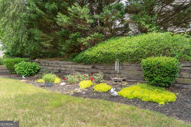 300 Brackin Trce, Grayson, GA 30017 - view of yard