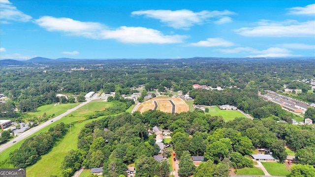 11 Chestnut St, Cartersville, GA 30120 - aerial view of a forest