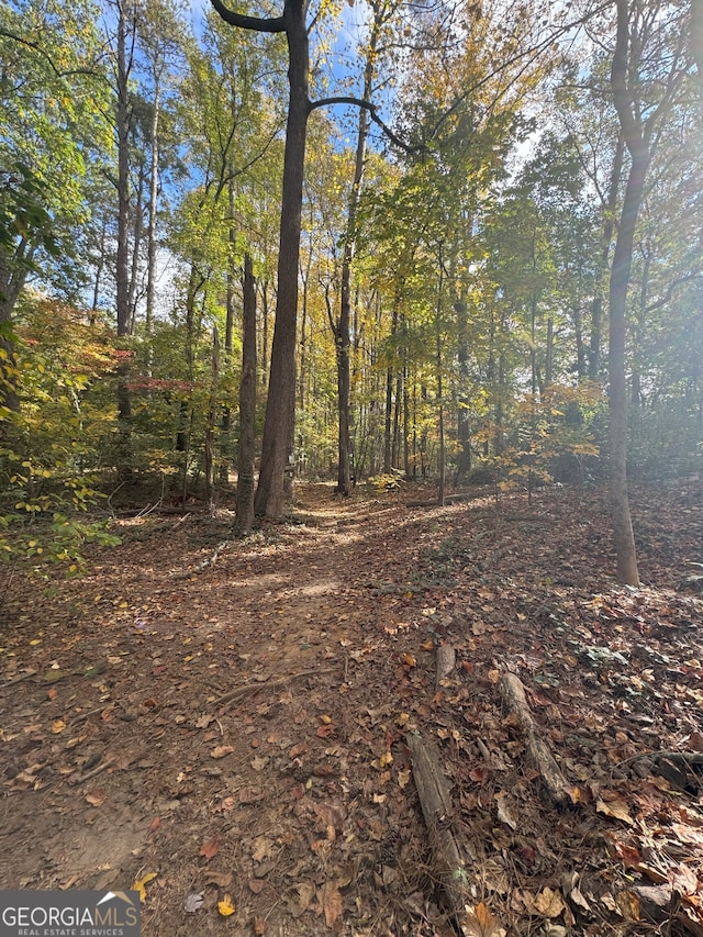 1962 8th St, Chamblee, GA 30341 - view of undeveloped land