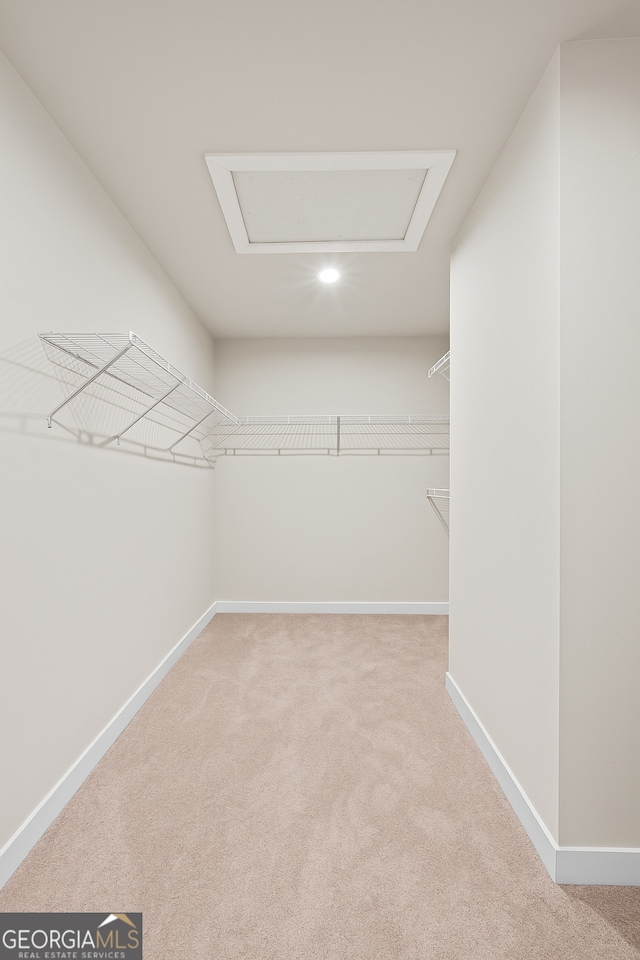1049 Climbing Rose Way, Mcdonough, GA 30253 - spacious closet with carpet flooring and attic access
