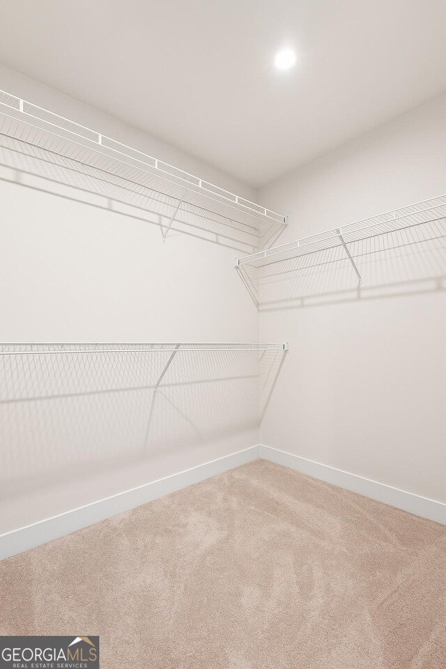 1049 Climbing Rose Way, Mcdonough, GA 30253 - walk in closet featuring carpet