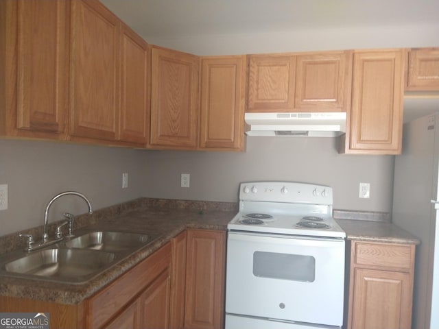 106 Ronald Pride Blvd, Fort Valley, GA 31030 - kitchen with white electric range oven and under cabinet range hood