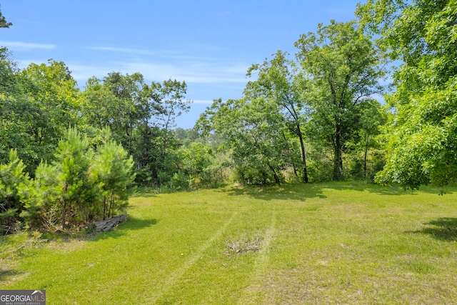 3131 Langley Rd, Loganville, GA 30052 - view of green lawn
