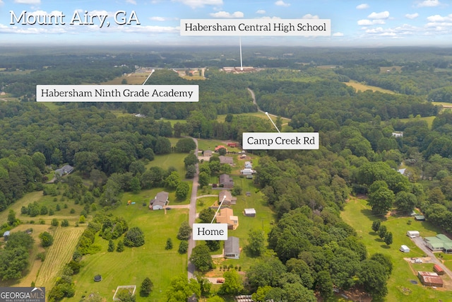 234 Edgewood Dr, Mount Airy, GA 30563 - aerial view of a forest