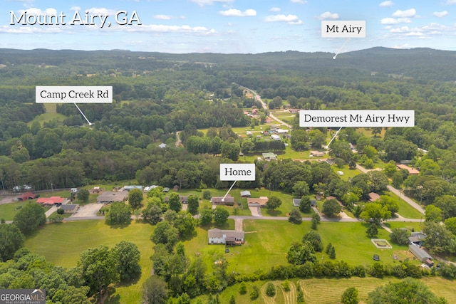 234 Edgewood Dr, Mount Airy, GA 30563 - aerial view of a forest