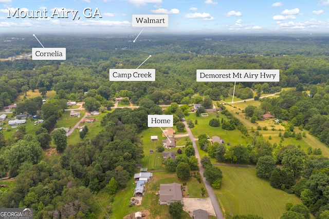 234 Edgewood Dr, Mount Airy, GA 30563 - bird's eye view of a heavily wooded area