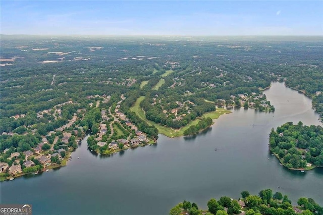 1055 Beacon Hill Xing, Alpharetta, GA 30005 - bird's eye view of a nearby body of water