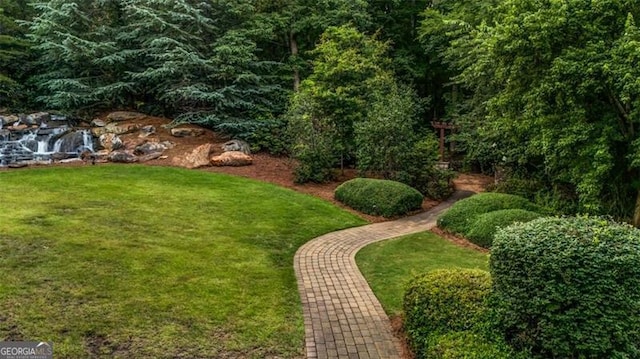 7601 Watson Cir, Locust Grove, GA 30248 - view of green lawn
