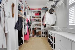 81 Cane Mill Ln, Dahlonega, GA 30533 - view of spacious closet